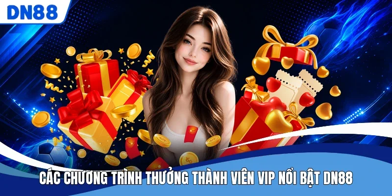 Các chương trình thưởng thành viên VIP nổi bật DN88