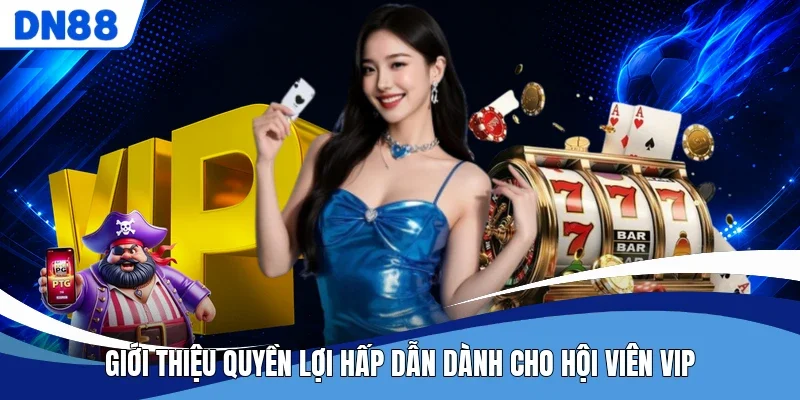 Giới thiệu quyền lợi hấp dẫn dành cho hội viên VIP