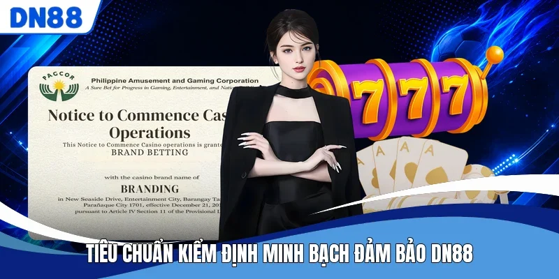 Tiêu chuẩn kiểm định minh bạch đảm bảo DN88