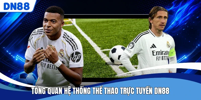 Tổng quan hệ thống thể thao trực tuyến DN88